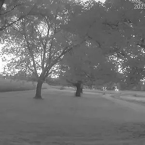 Product Review of wansview 2.4Ghz WiFi Home Security Cameras Continuous Solar Power - Security Cameras Wireless for outdoor, SD/Cloud Storage (optional), Waterproof, 2K Color Night Vision, Works with Alexa/Google Home, camara de seguridad Springtok from D**l