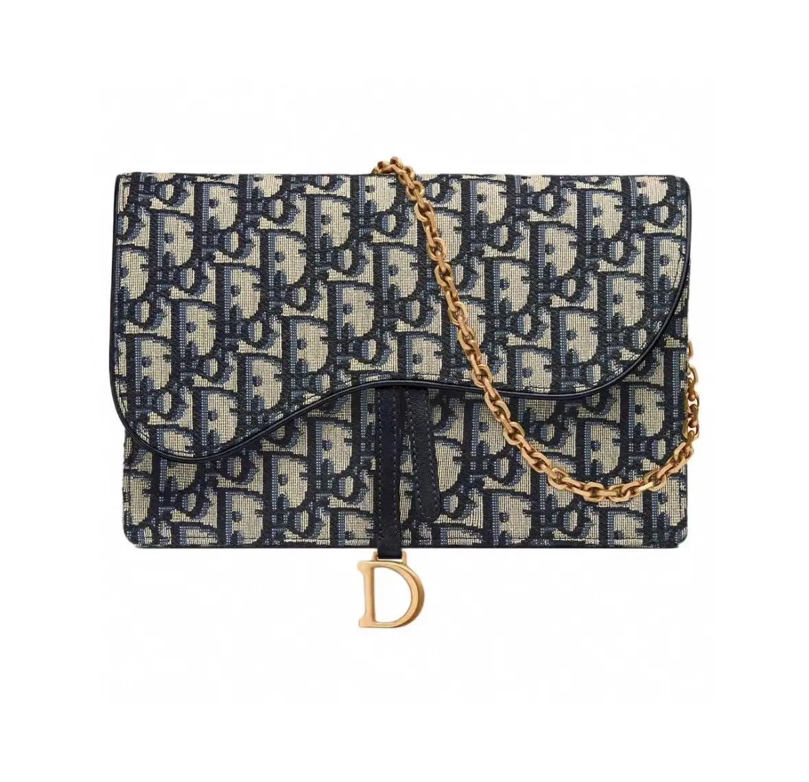 Pre-owned Dior saddle bag, large WOC chain bag with embroidered old age motif（2601602）