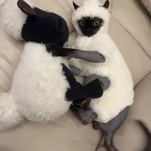 Ultimate Winter Onesie for Hairless Cats: Double-Sided Sherpa Pajama with Full Leg Coverage for Sphynx & Devon Rex Breeds