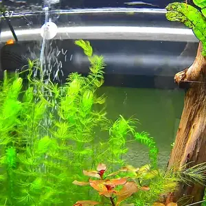 Litokam 2K Aquarium&Terrarium Pet Camera.Magnetic Install &Close Focus Lens for Fish,Lizard, Reptile Pet and Window Bird Feeder,2.4GHz & 5GHz WiFi,Color Night Vision,Auto focus,24/7 Recording