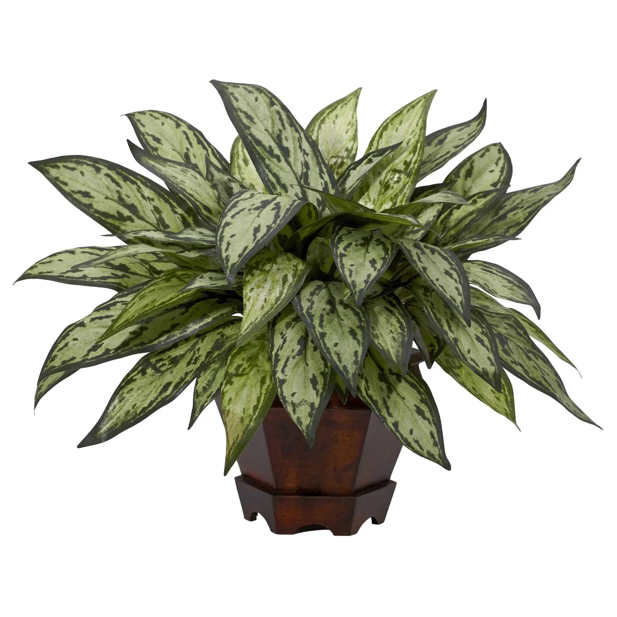 Triple Silver Queen w/Hexagon Vase Silk Plant