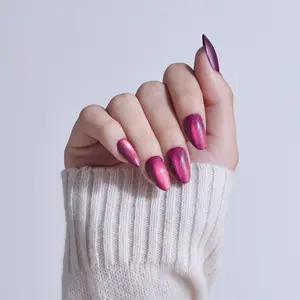 KISS CORE Magnetic Press On Glue Nails - Glittering KISS CORE Magnetic Press On Glue Nails - Glittering