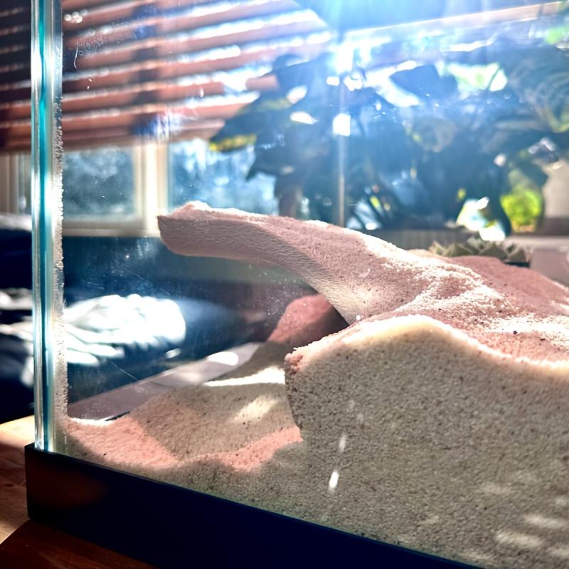 Corner Aquarium Cave for Aquatic Animals and Reptiles, Hideaway and Display Area, Ideal for Fish and Amphibians, Tank Decoration