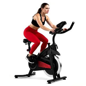 SAYGOGO Exercise Bike with Felt Brakes & Belt Transmission Stationary Bike for Home Use 300 lb Weight Capacity LED Display & Adjustable Seat Indoor Cycling Spin Bike Workout