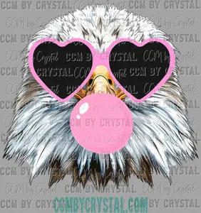 Eagles Bubble Mascot  Ready to Press Transfer Direct to Film DTF Transfers