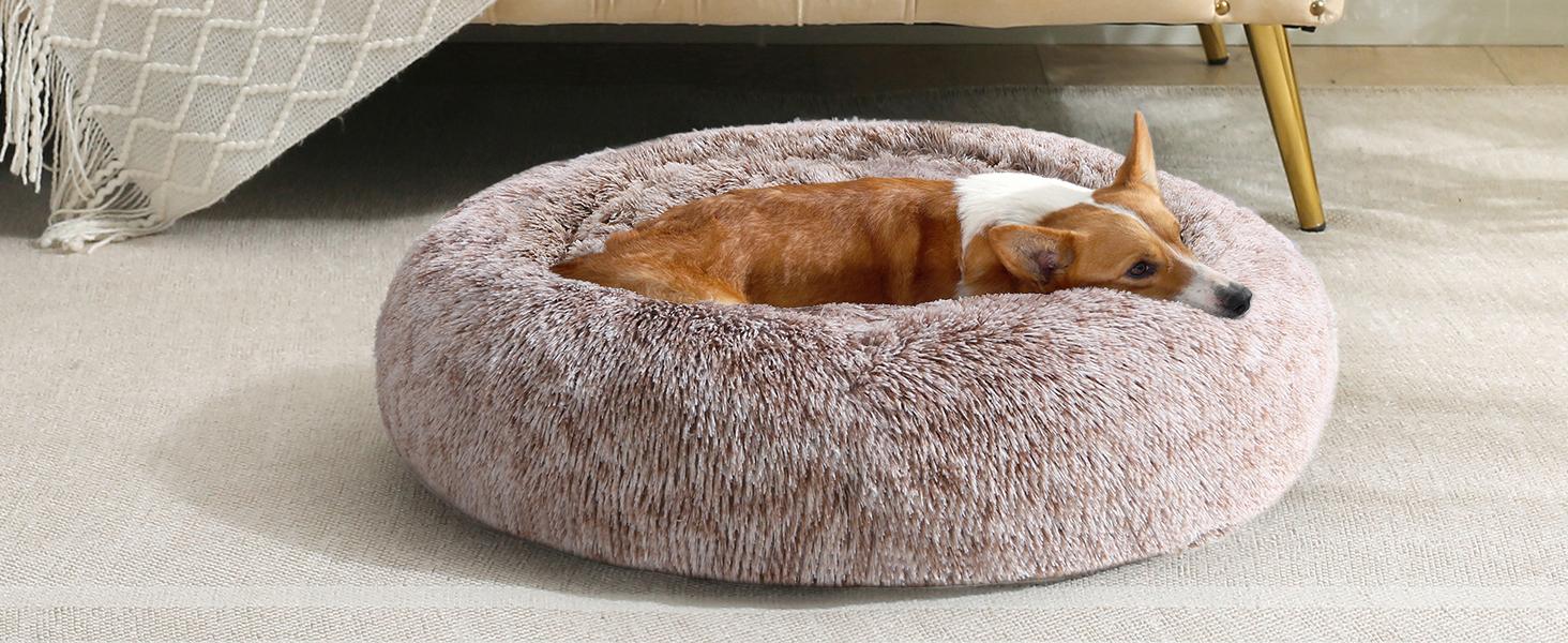 JOLLYVOGUE Small Dog Bed, Calming Soft Anti-Anxiety Donut Cat Bed, Washable Round Fluffy Cushion for Small and Medium Pets (20")