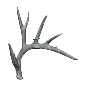 Shed Antler Hanger Single - Slob Knocker Size (Left Antler)