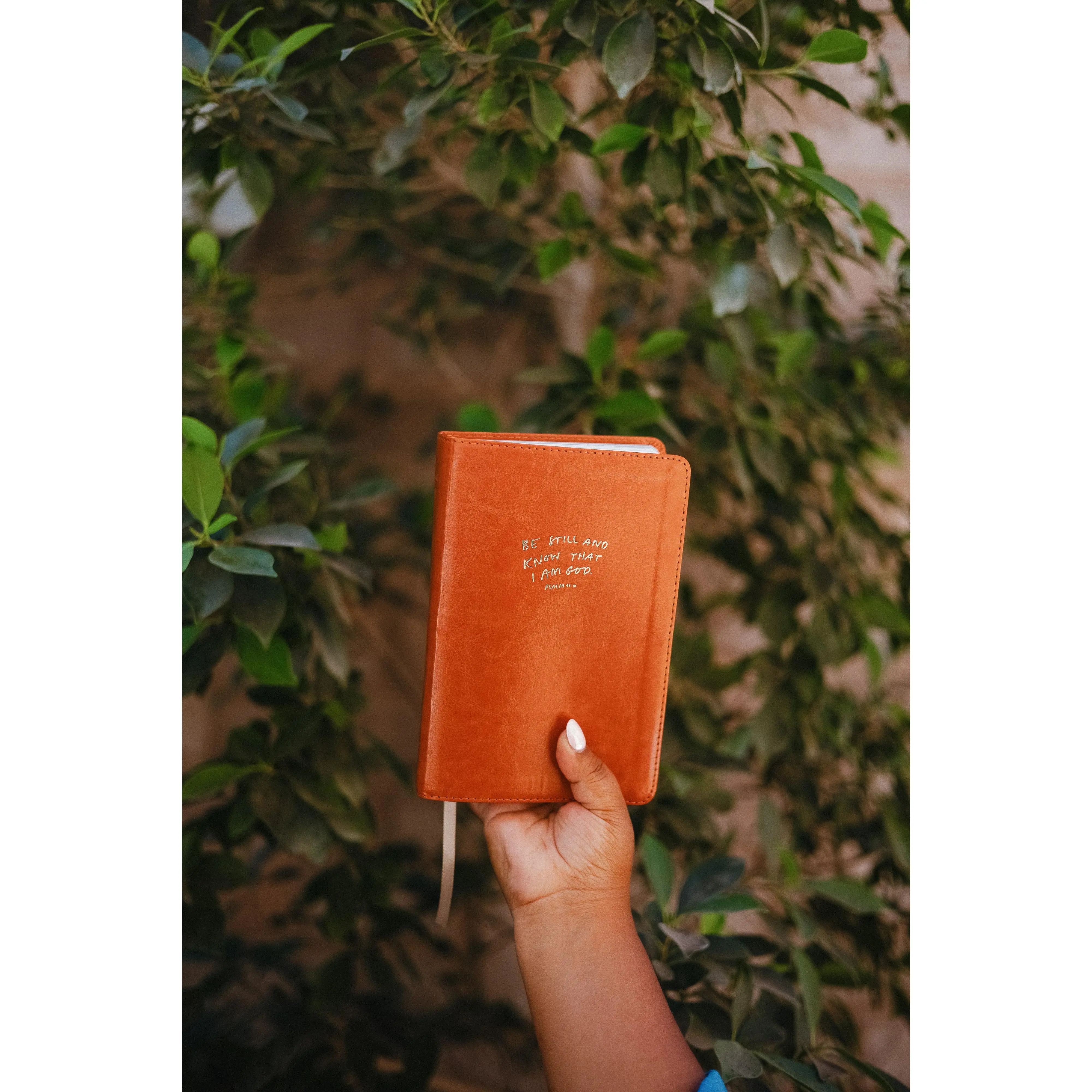 Catholic Compact Journaling Bible