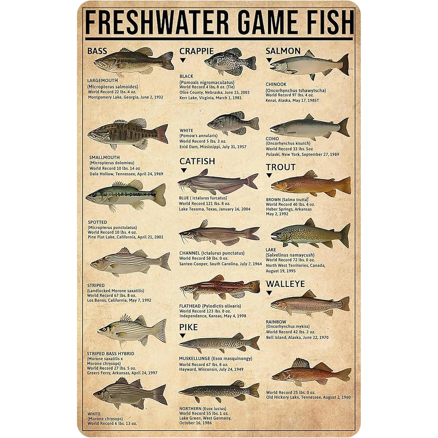Vintage 8x12 In Tin-Metal Freshwater Gamefish Knowledge Sign, Boy's Fishing Gift for Man Cave Bedroom Wall Art Decor; 2026 Fashion Resin Middle Finger Ghost Statue, City Golf Accent
