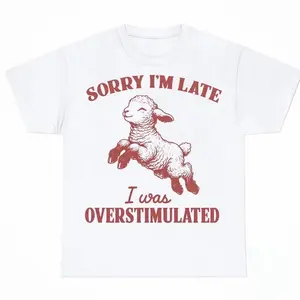 Sorry I'm Late I Was Overstimulated Shirt, Neurodiversity Meme Tee, Autism Acceptance Graphic Shirt, ADHD Humor T Shirt, Sensory Overload Shirt, Disability Pride Tee, Autism Ally Gift
