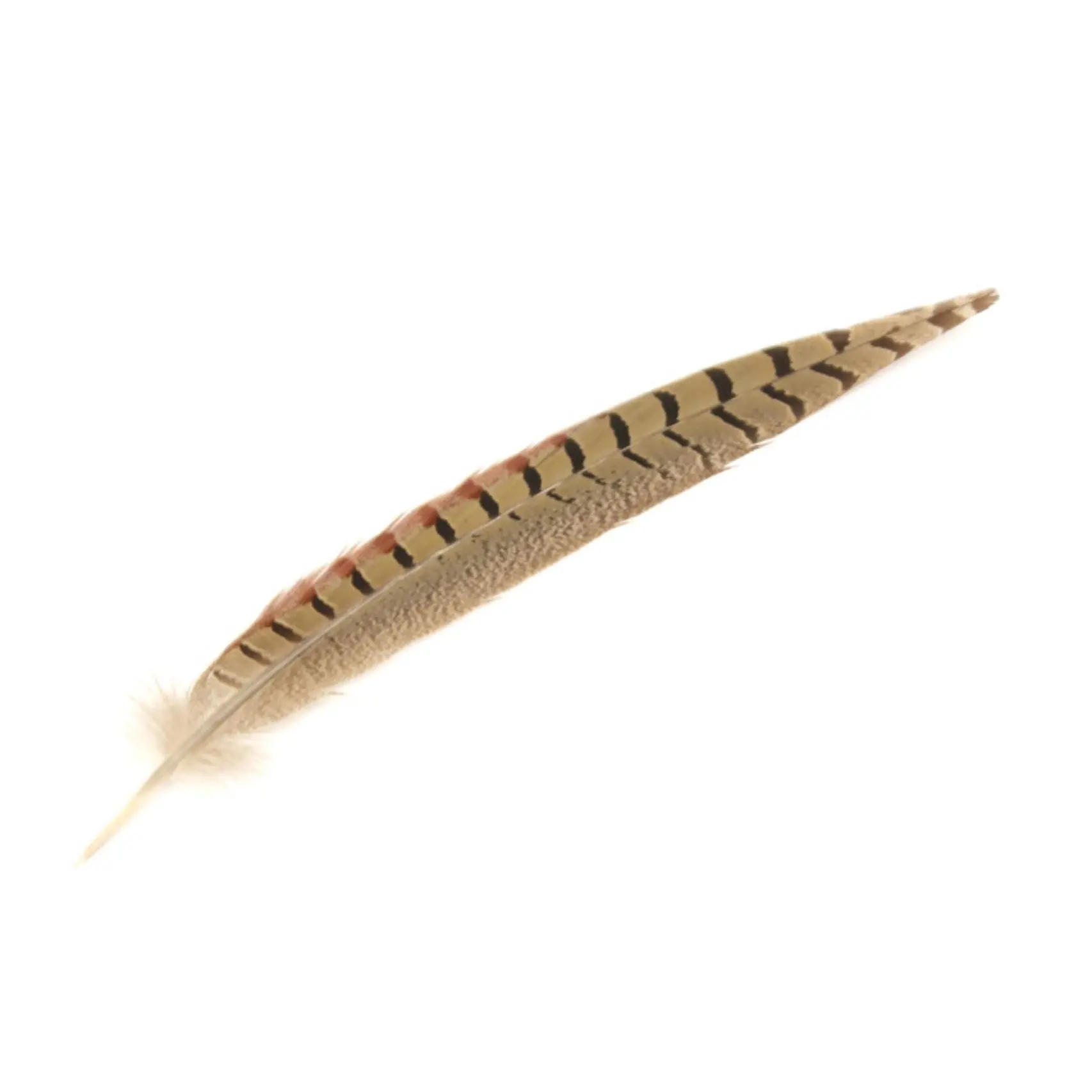 TAN/BROWN FEATHER