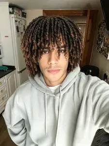 Short Dreadlock Synthetic Wig, Ombre Twist Braided Wig, Soft Bouncy Texture, Spring Twist Synthetic Hair Wig for Men