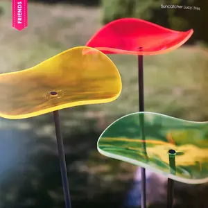 Cazador-del-sol Acrylic three (3) piece gift set - Red, Yellow, Green Petals with 10" Clear Acrylic Stems