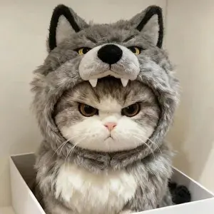 PAWTO Adorable Wolf-Themed Cat Hat - One-Size Fits All - Unique Design Charms Everyone - Perfect for Pet Owners - Cute & Versatile Accessory