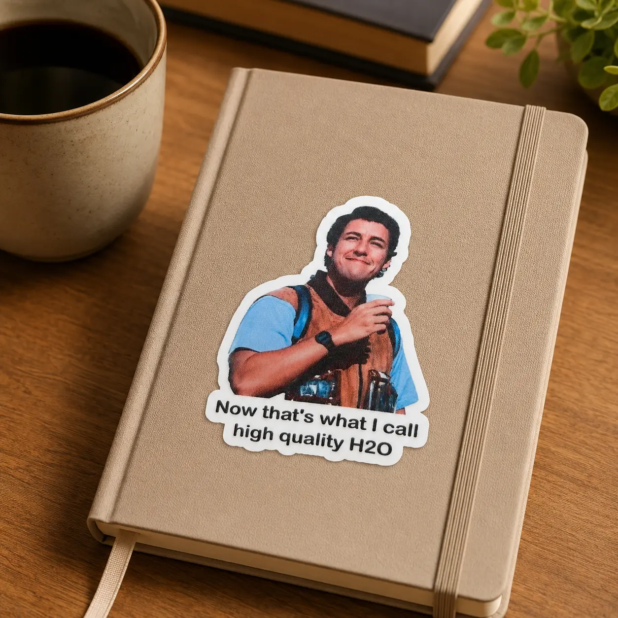 Now That’s What I call High Quality H20, The Waterboy Meme Sticker, Funny Sticker, Laptop Water Bottle Sticker