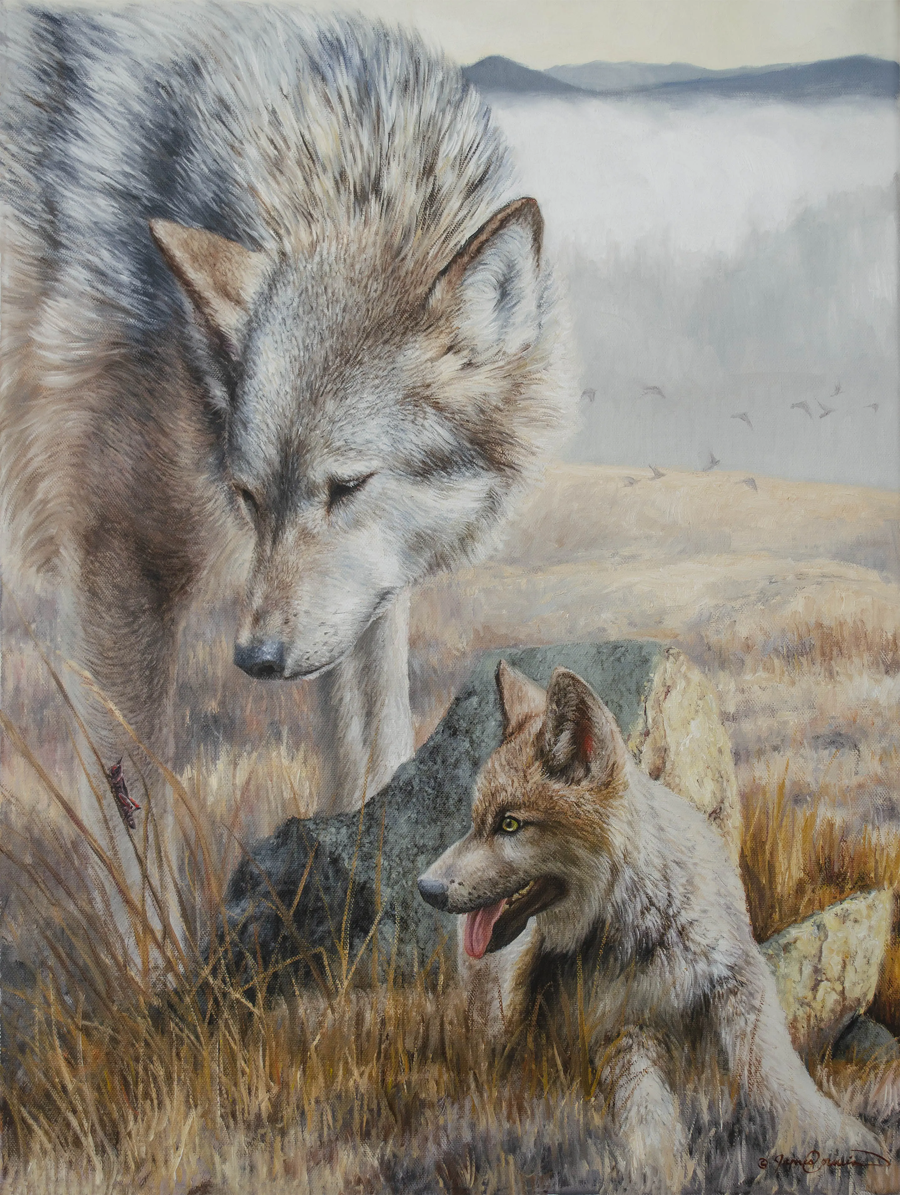 Zoology Lesson - Mother Wolf and Pup - Curious Baby Animal - James Corwin Fine Art - Limited Edition Ready to Hang Wildlife Giclée Print - Home Ranch Decor for any Room or Wall - Numbered and Signed