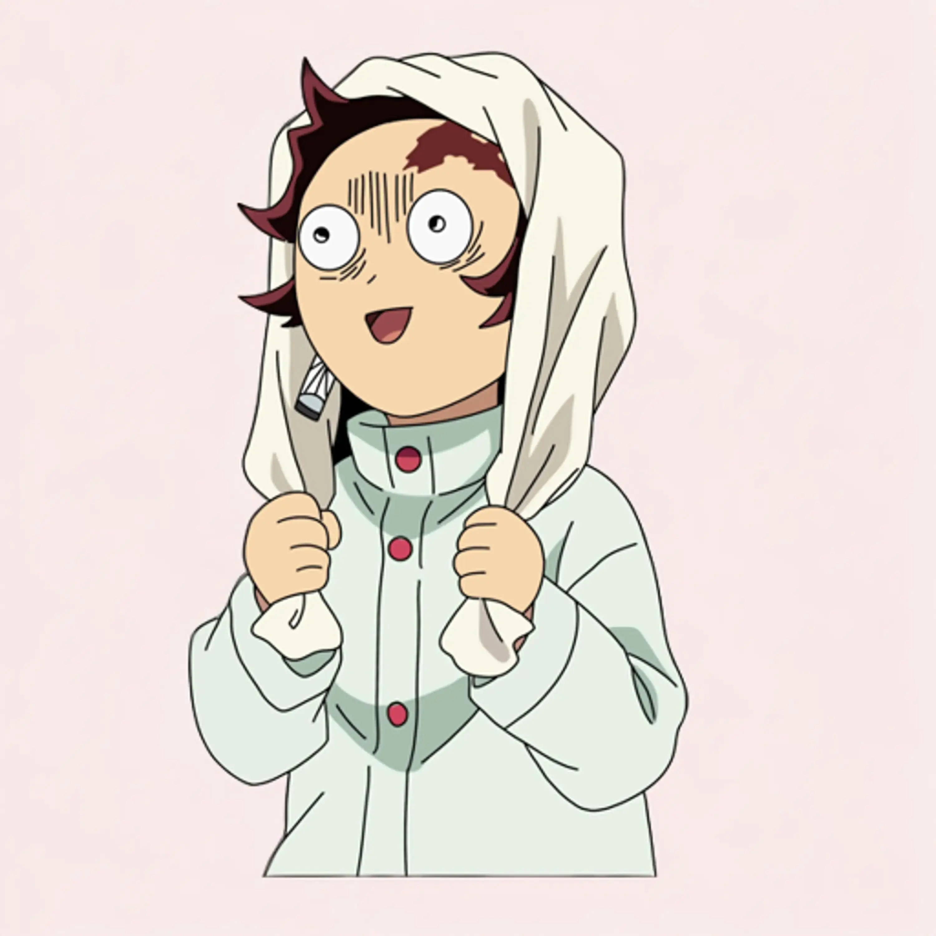 Elevate Your Collection with Tanjiro - Demon Slayer Anime Stickers