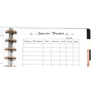 Expense Tracker Inserts for 11-Disc Big Happy Planner, Big Happy Planner Budget Inserts