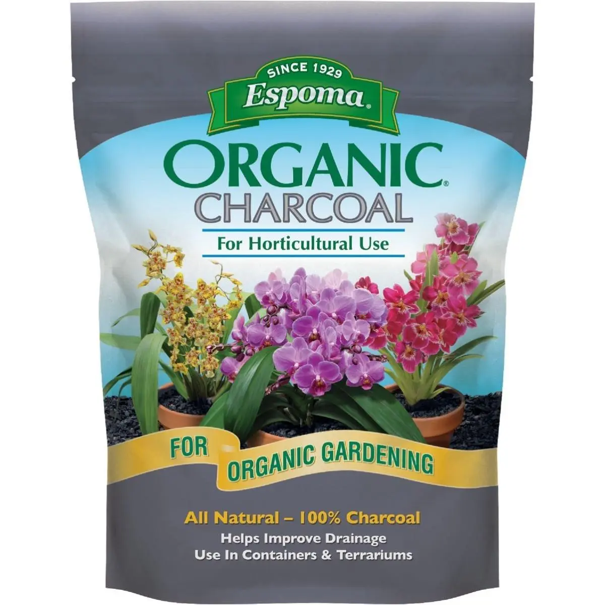 The Espoma 5038800 4 qt. Horticultural Charcoal for Indoor Plants
