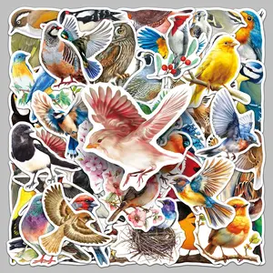 50pieces art and cure birds cartoon animals hand-painted graffiti stickers luggage refrigerator desktop Living Room decorative stickers Indoor Outdoor Decorative