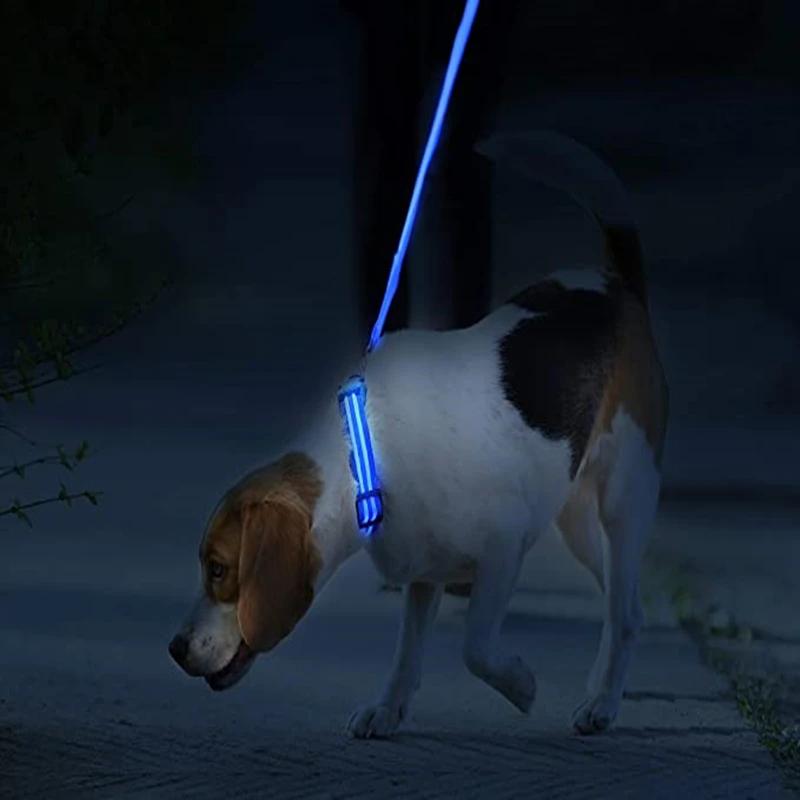 3 Modes Dog Luminous Charge Collar Led Usb Cat Dogs Collars Detachable Night Led Glow Dog Loss Prevention Collar Pet Accessories 3 Modes Dog Luminous Charge Collar Led Usb Cat Dogs Collars Detachable Night Led Glow Dog Loss Prevention Collar Pet Accessories