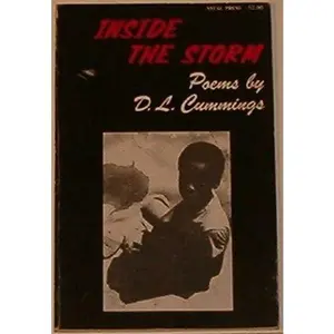 USED-Inside the Storm: Poems and Photographs by D. L Cummings (Paperback)