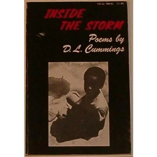 USED-Inside the Storm: Poems and Photographs by D. L Cummings (Paperback)