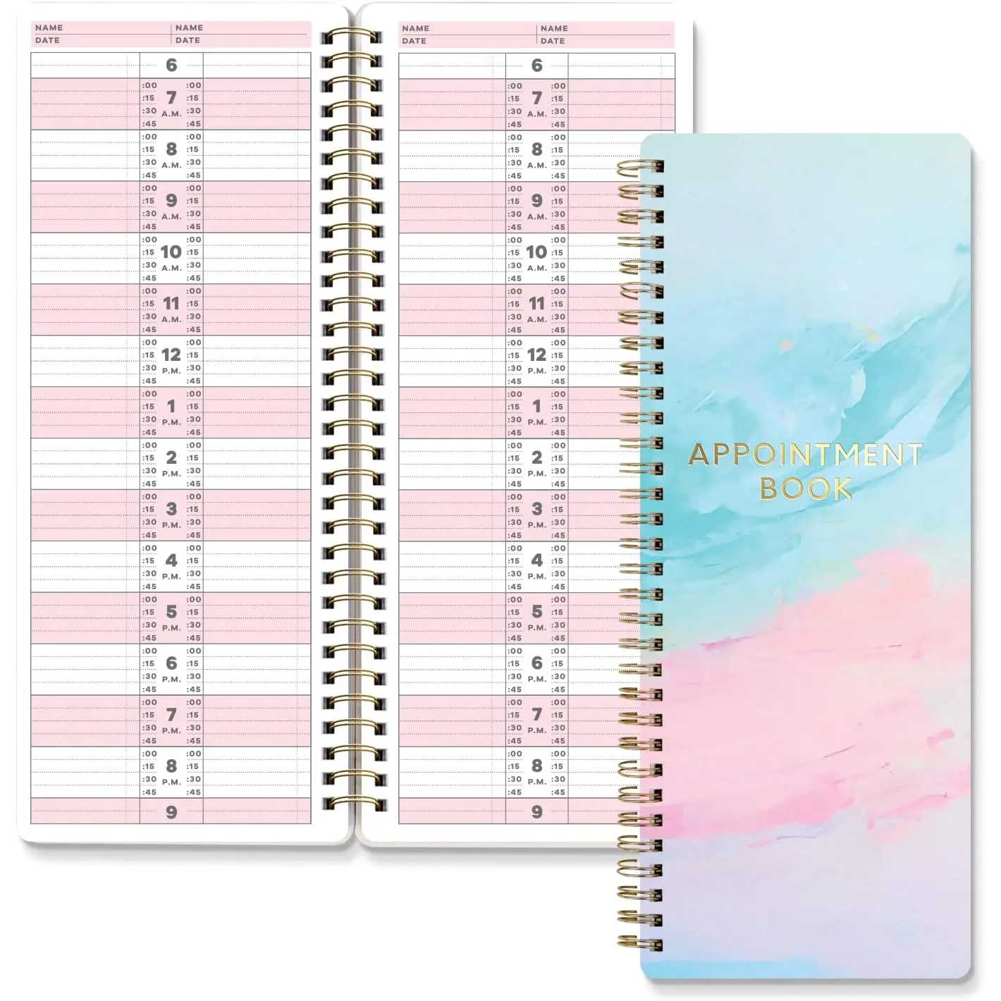 SO Appointment Book with 15 Minute Slots - Daily Hourly Daybook 6AM to 9PM - Salon session journal - meeting organizer, Regular Schedule Book - Two-Column Day Planner with Hourly Plan, 2025 +
