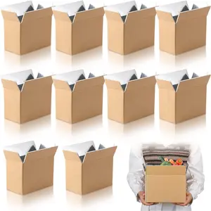 Insulated Shipping Box Cold Double Insulated Carton with Foil  Cooler Boxes Delivery Moving Kits  Shipping Containers for Mailing Packing, Box Inside 8.7'' x 4.5''x 6.1''(10 Pcs)