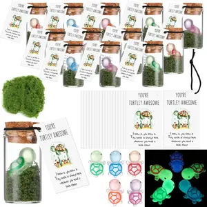 20 Sets Employee Appreciation Gifts Bulk Emotional Support Inspirational Mini Luminous Turtle Cards with Glass Bottle for Christmas Teacher Students Gift Classroom Party Favors