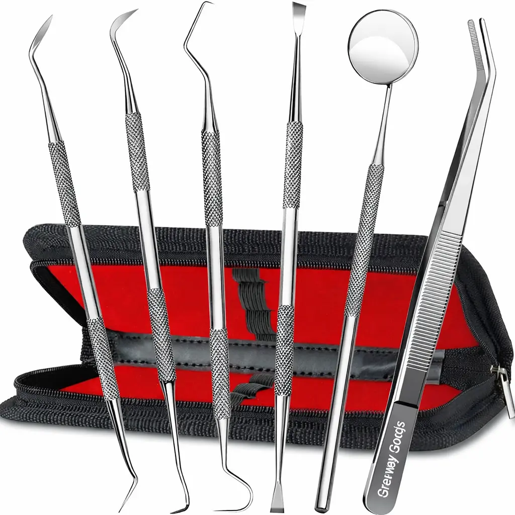 Dental Tools, Dental Pick Teeth Cleaning Tools Hygiene Kit, Plaque Remover for Teeth, Professional Stainless Steel Tooth Scraper Plaque Tartar Cleaner - with Case