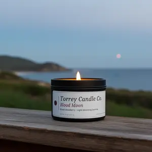 Hand-Poured Soy Candle — Blood Moon | Blood Strawberry + Night-Blooming Jasmine, Hemp Wick, Non-Toxic 8 oz | Torrey Candle Co.