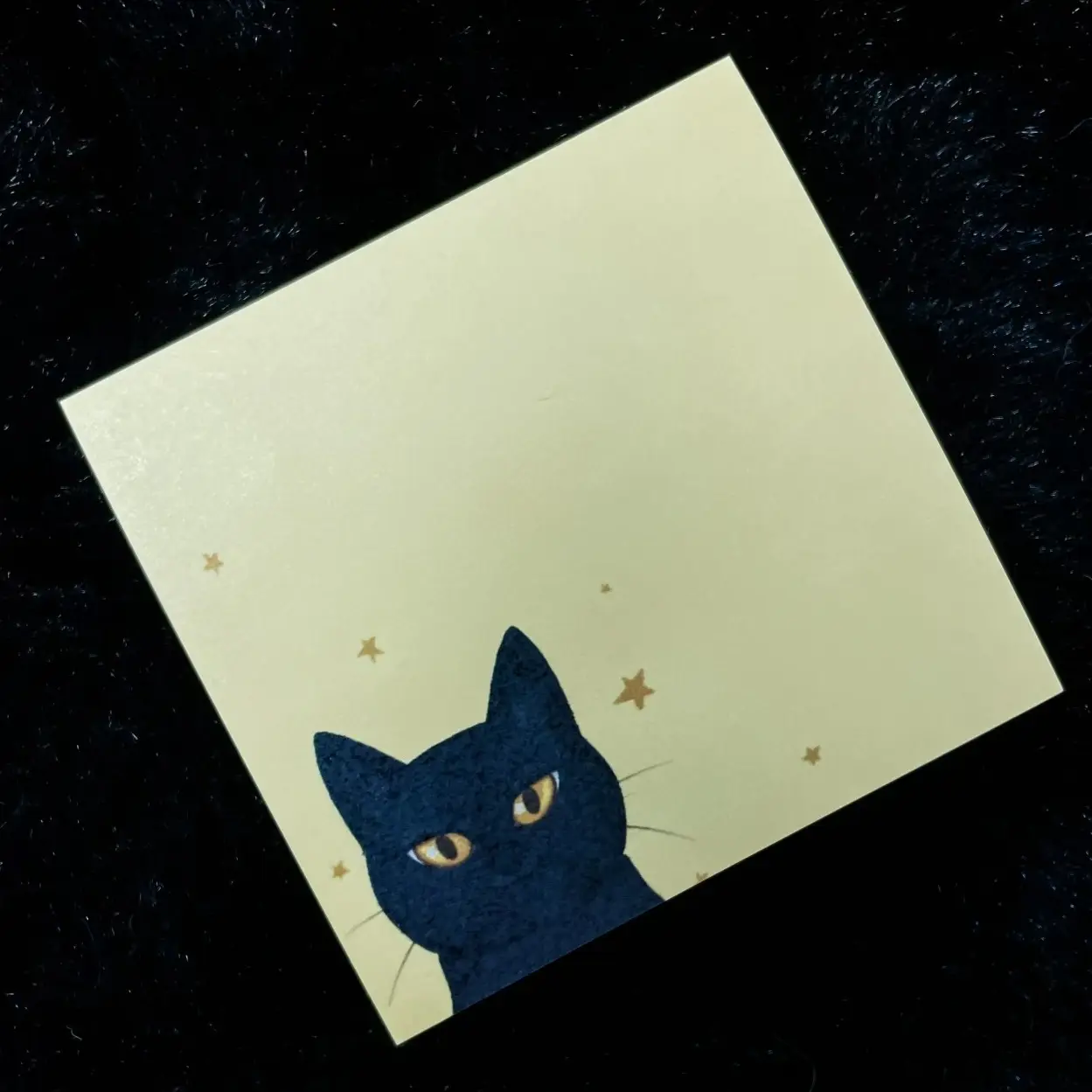 Black Cat Chester Post-It Notes
