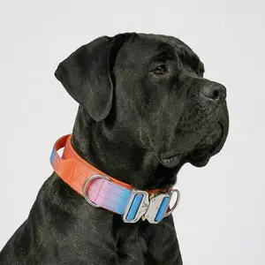 Vibrant Sunset Ombre Tactical Dog Collar with Handle - Heavy Duty Anti Pull K9 Training Gear, Quick Release Metal Buckle for Giant Dogs, Cane Corso, Mastiff - Orange Gradient Padded Collar