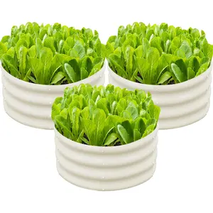 【Deals For You Days】SnugNiture Raised Garden Bed 3-Pack 2x2x1 ft Module Metal Planter Box for Planting Plants Vegetables,Flowers