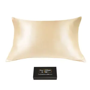 Queen-size 100% 6A 22 Momme Mulberry Silk Pillowcase, Zipper Closure, Champagne