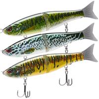 Largemouth Bass +Blue Mackerel +Yellow Mackerel