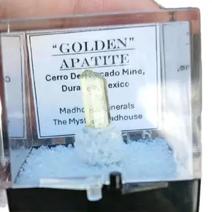 Madhouse Minerals Golden Apatite AAA Graded Specimen from Cerro Del Cacao Mine Durango Mexico Natural Crystal Specimen