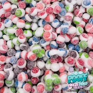 Freeze Dried Cheesecake Wild Berry Pooff