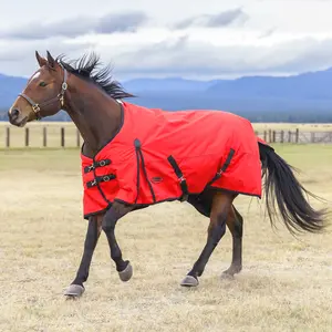 WeatherBeeta ComFiTec Original 1200D Waterproof Standard Neck Medium Weight Turnout Blanket for Horses, 220g