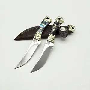 Portable Mini Fruit Knife with Shell Resin Handle, Lightweight Steel Blade, Ideal for Cutting Fruits & Opening Packages