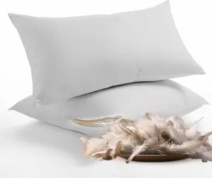 Bafode Throw Pillow Inserts 20'' x 12'' Set of 2, Down Feather Decorative Throw Pillows, Luxury White Pillows for Sofa, Bed and Couch and Cushion