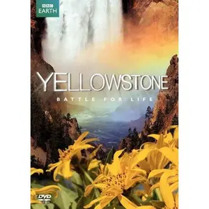 USED-Yellowstone: Battle for Life (SD) [DVD] (Unknown)