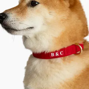 B&C Velvet Collar - Cranberry