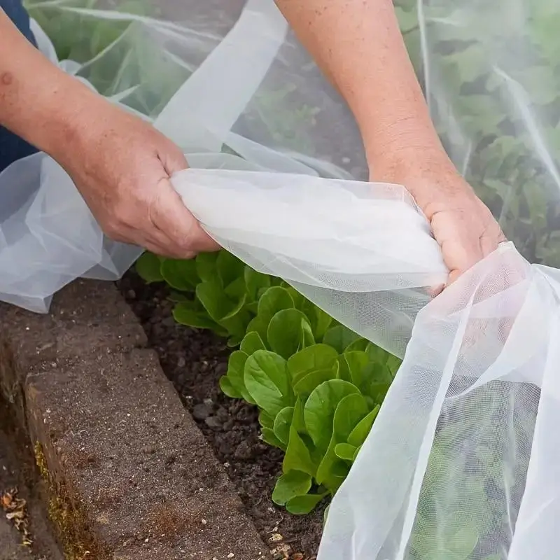 Plant Protective Net, HDPE 60 Mesh Clear Netting, Garden Plant Care Support Net, Garden Supplies for Home Garden, Home Supplies