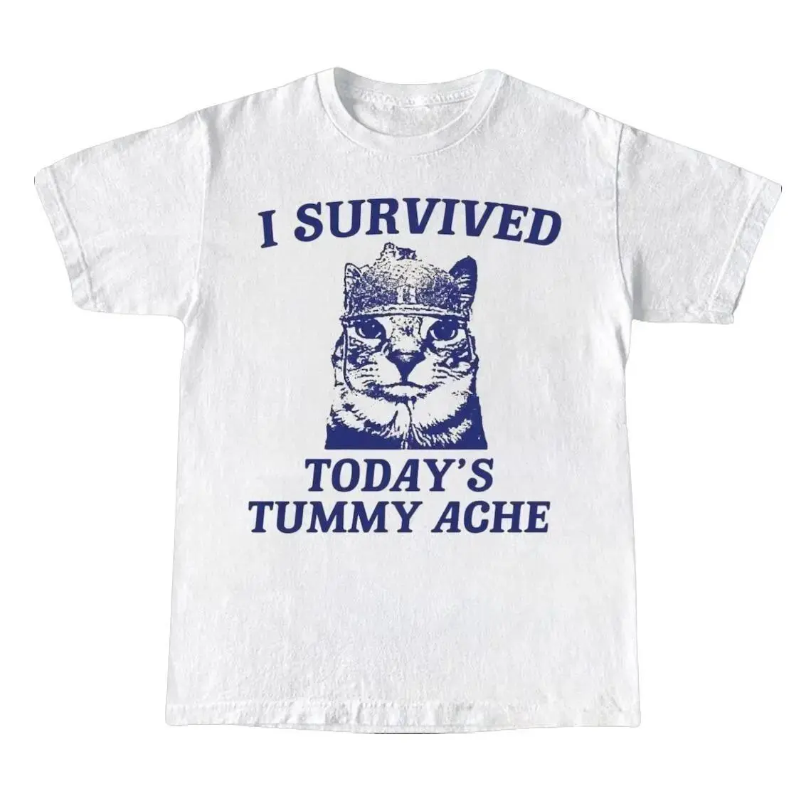 I survive today's tummy ache shirt Funny Cat Tee Vintage Cat Tee Meme T Shirt Trendy Unisex Shirt Tummy Ache Survivor Tee Top Womenswear