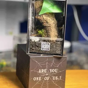 Spider People CryptKeeper 4"x4"x7" Stackable Acrylic Enclosure with Sliding Doors & Removable Top Lid for True Spiders & Juvenile Tarantulas.