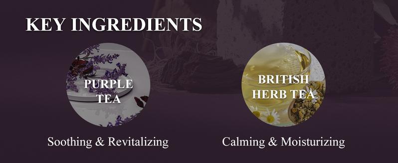 [TEABLESS Official Shop] Sage Amber Purple Tea Perfumed Body Lotion 16.93 oz / 480g , Daily Moisturizer, Body Lotion For Dry Skin & Sensitive Skin, Non-Greasy, Slow Aging, Floral Woody Scent, Korean Skin Care