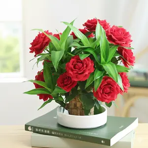 Brazilian Lucky Wood Doll with Base for Luck and Wealth,Easy to Grow Indoors,Decorative Ornament for Luck and Wealth