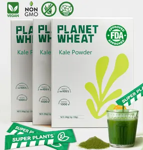 Sustainably Grown, Organic Kale Powder,  Fresh Freeze Dried Source | Nutrient-Dense Greens Superfood | Kale Tea and Green Drink Mix | 10 Bag Servings, No GMOs, Vegan Friendly